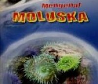 Image of Mengenal Moluska